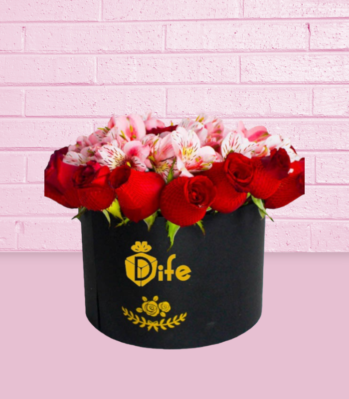 BOX ROSAL