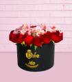 BOX ROSAL
