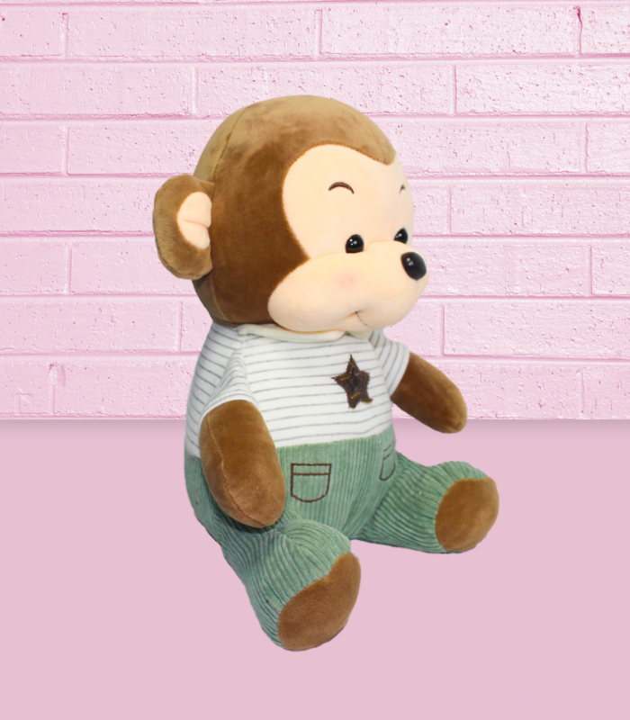 MONITO BEBE