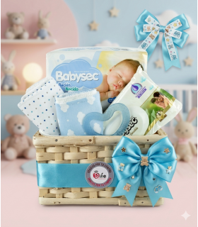 cesto babysec