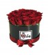 BOX rosas rojas