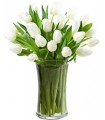 Tulipanes blancos