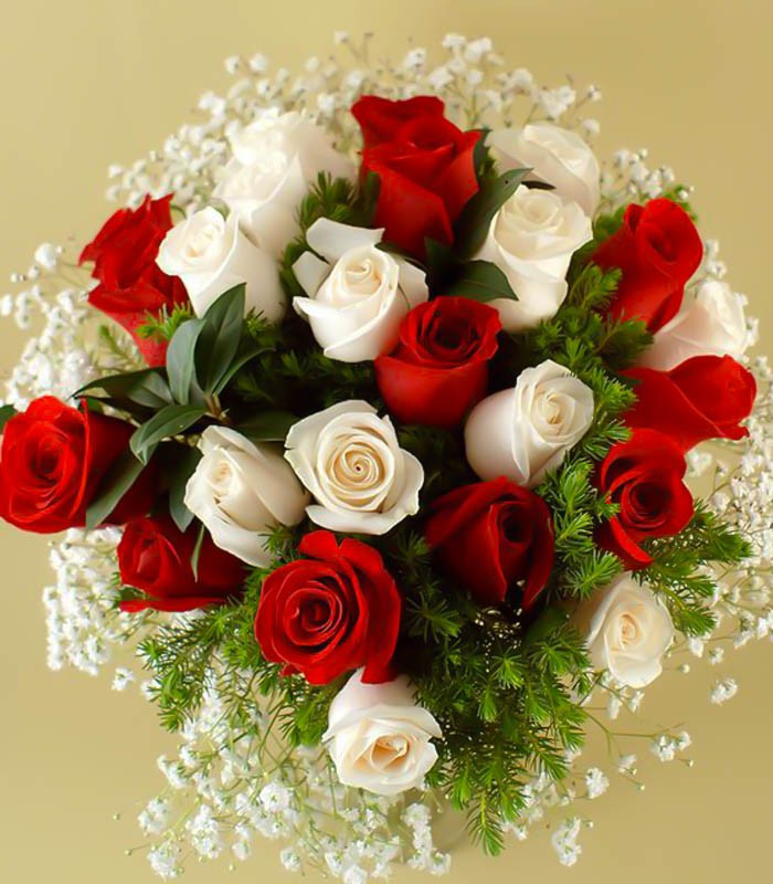 RAMO RED AND WHITE